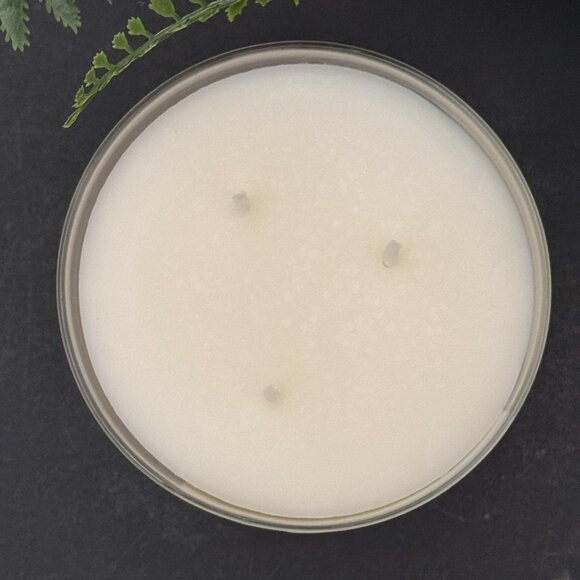 BBW Caribbean Escape Bath & Body Works 3 Wick Candle - Picture 7 of 10